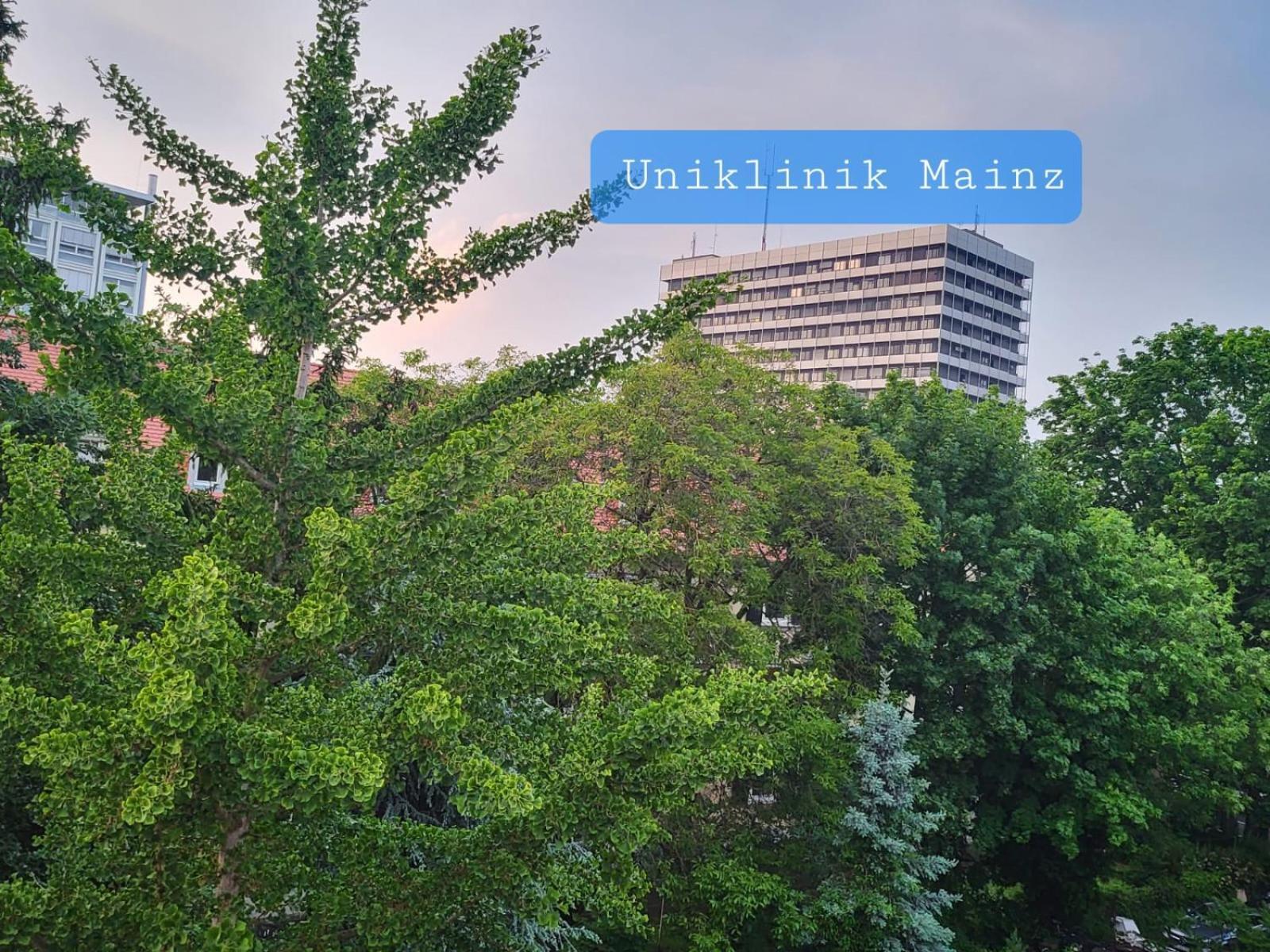Gemuetliches Privatzimmer An Der Uniklinik Mainz. Sehr Zentral Dış mekan fotoğraf