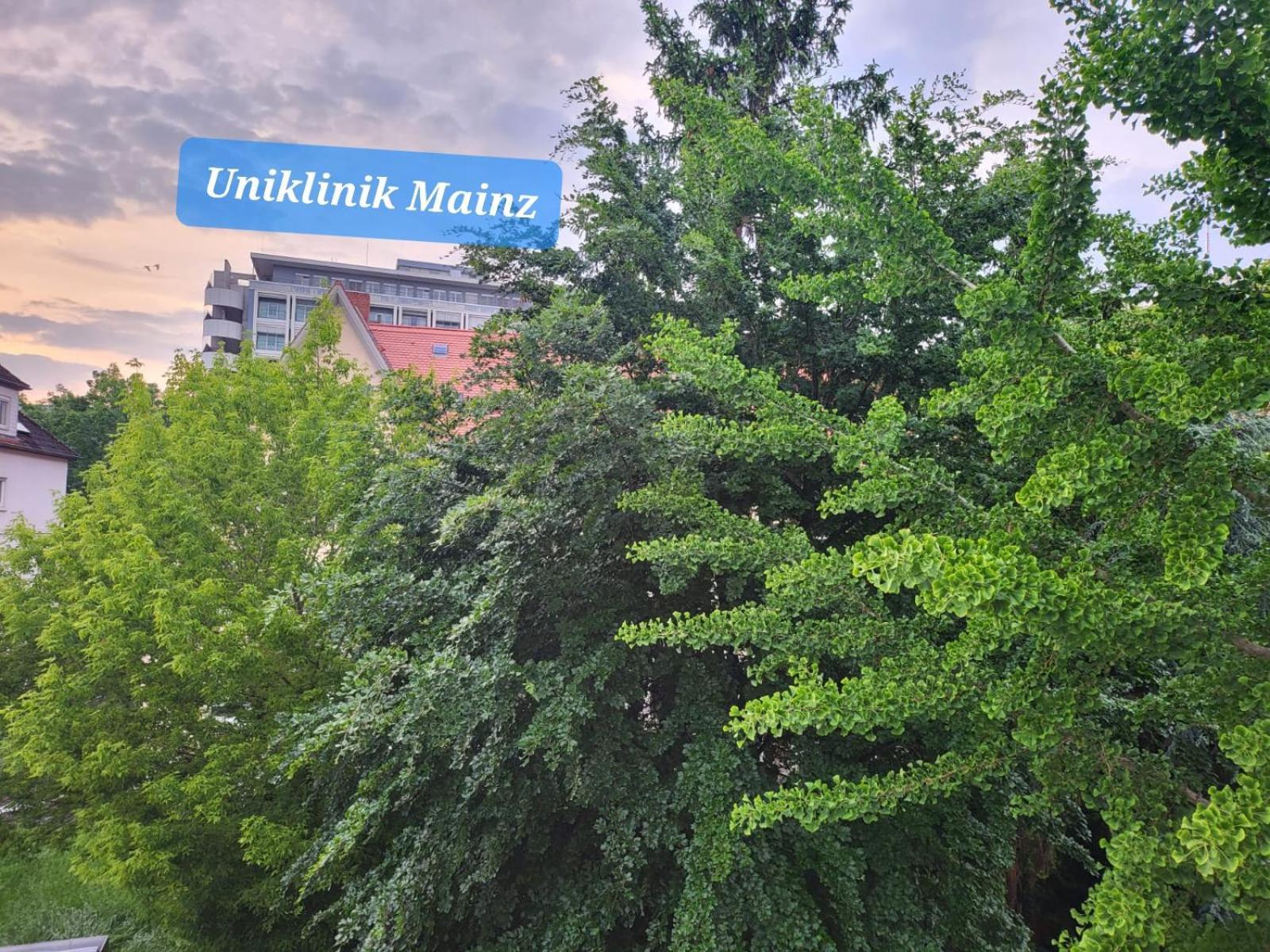 Gemuetliches Privatzimmer An Der Uniklinik Mainz. Sehr Zentral Dış mekan fotoğraf